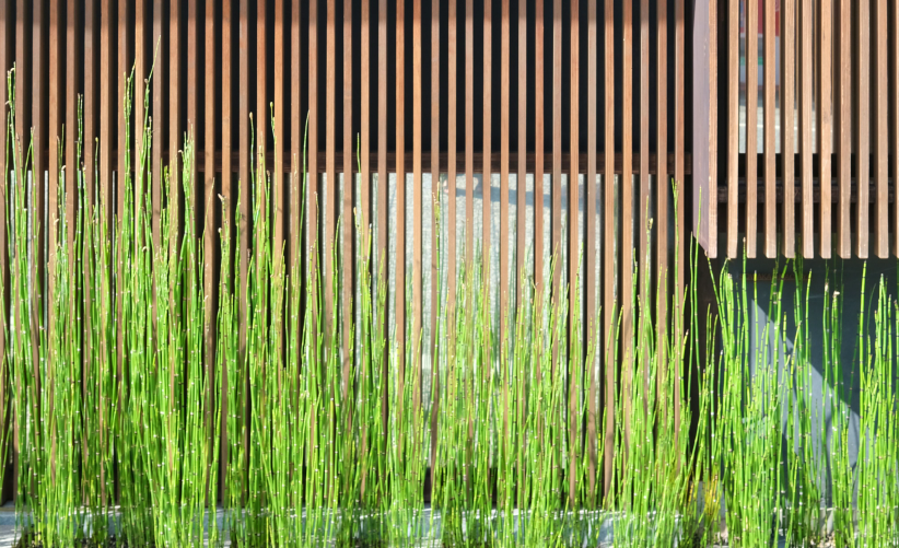Image of a louver wall with vertical blades