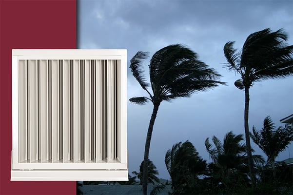 A hurricane louver in front of two palm trees blowing in the wind